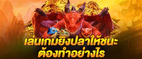 fbbet